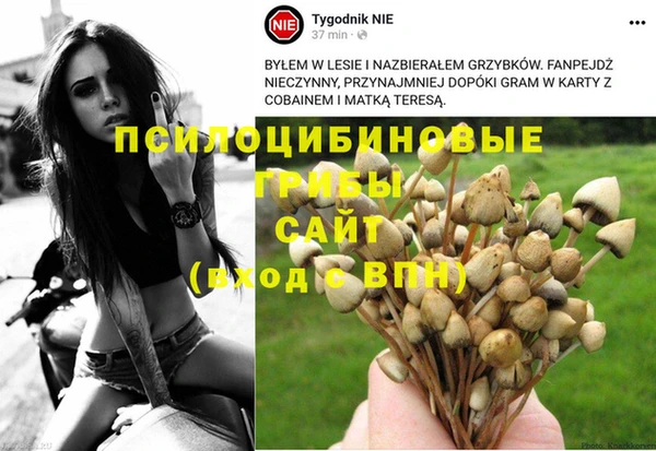меф Алексеевка