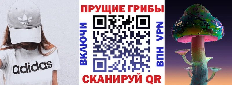 Галлюциногенные грибы мицелий  Боготол 